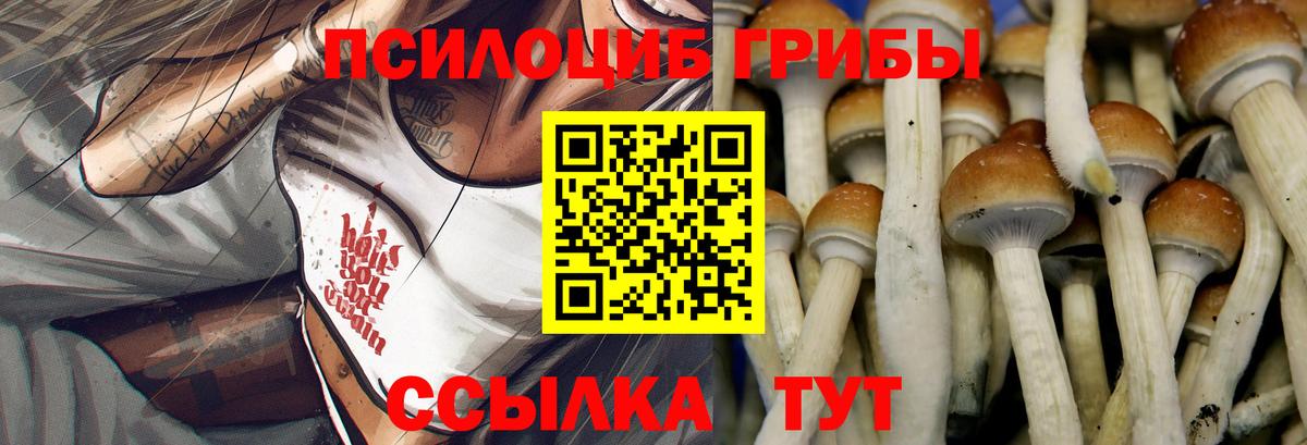купить   Галлюциногенные грибы Cubensis  Вход с VPN  Галлюциногенные грибы Cubensis  Серпухов 